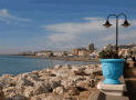 Taxi Torremolinos – Málaga: los mejores precios 2026